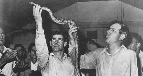 picture of snake handlers